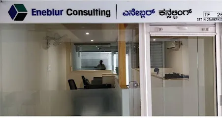 Eneblur Consulting